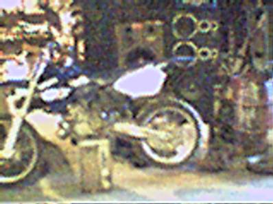 99 Yz    "TRICK"    $4600.00